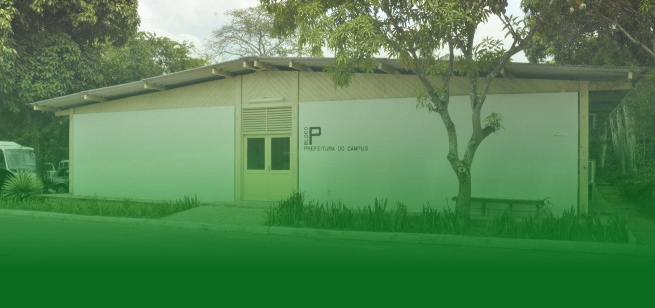 Conheça o nosso trabalho de perto!